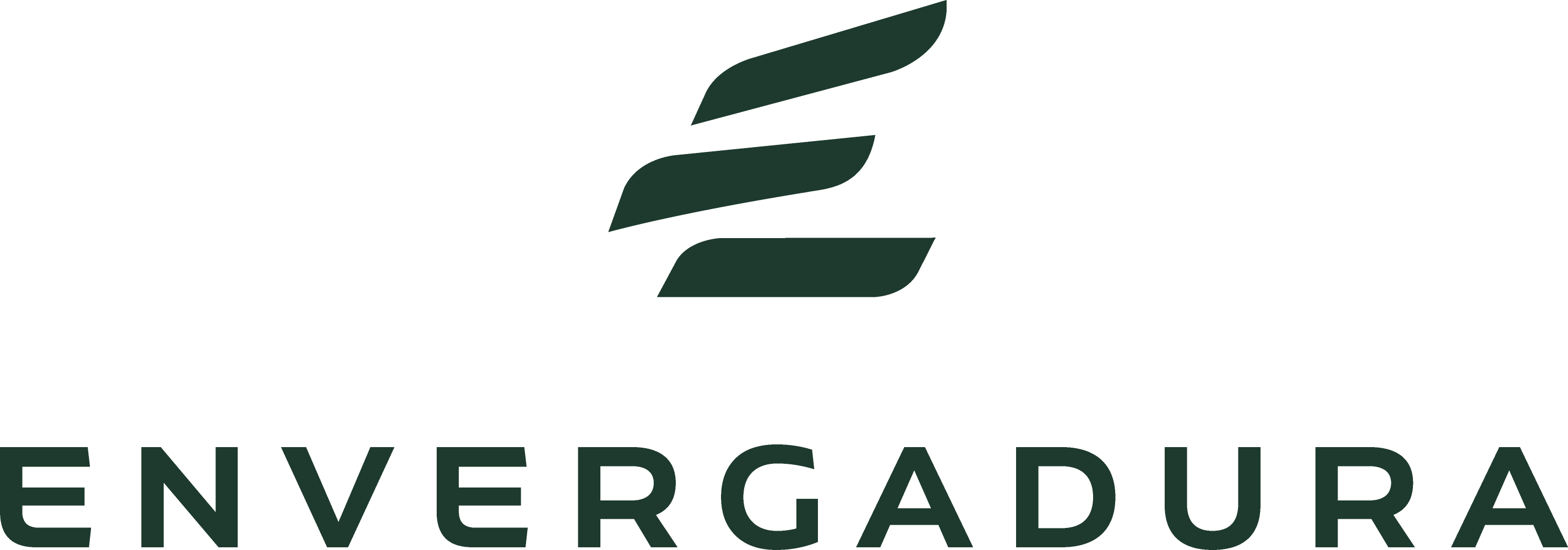 Envergadura